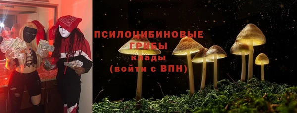 MDMA Ельня