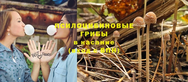 MDMA Ельня