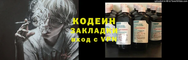 амф Елизово