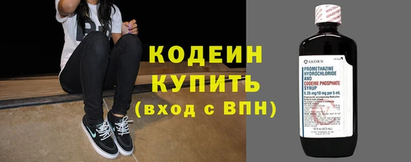 амф Елизово