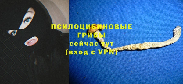 амф Елизово