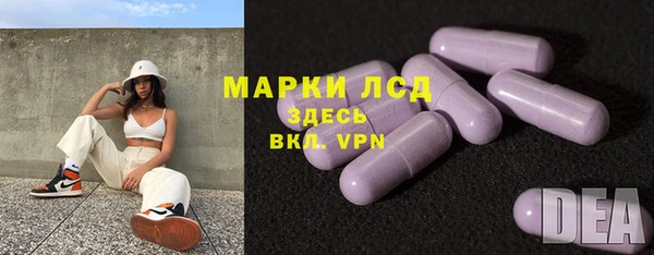 амф Елизово