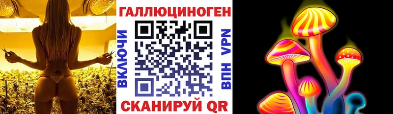 купить  цена  Новочеркасск  Псилоцибиновые грибы мицелий 